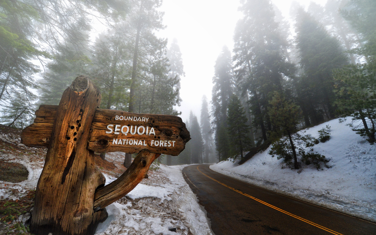 Sequoia National Park wallpaper 1280x800