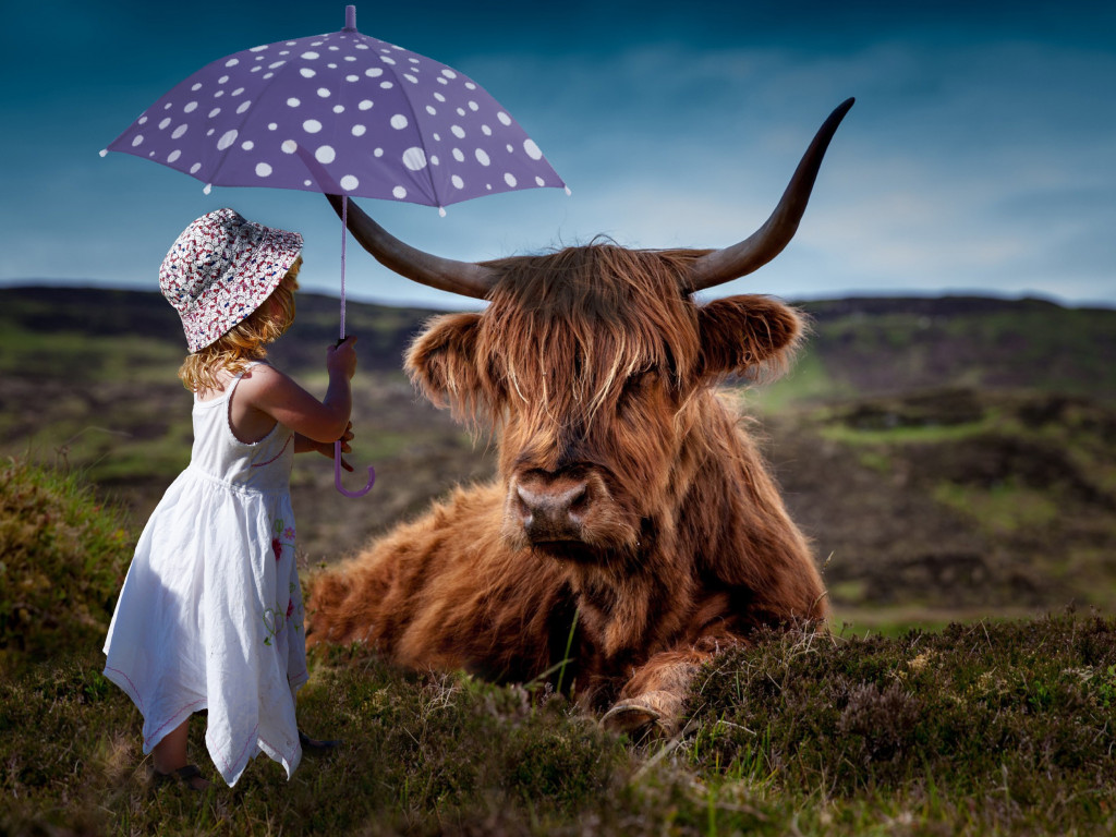 Child with the umbrella and the funny cow wallpaper 1024x768