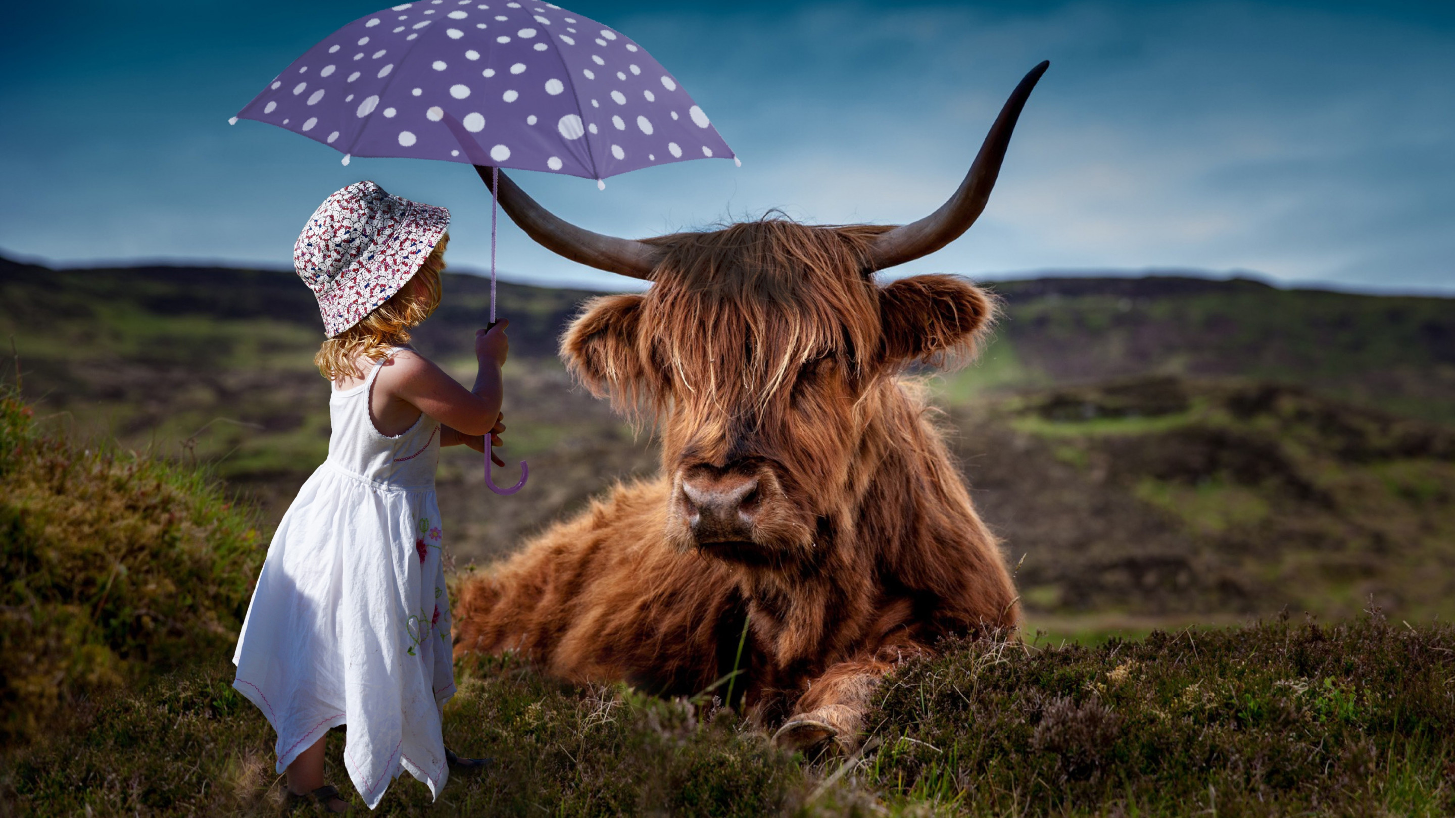 Child with the umbrella and the funny cow wallpaper 2880x1620