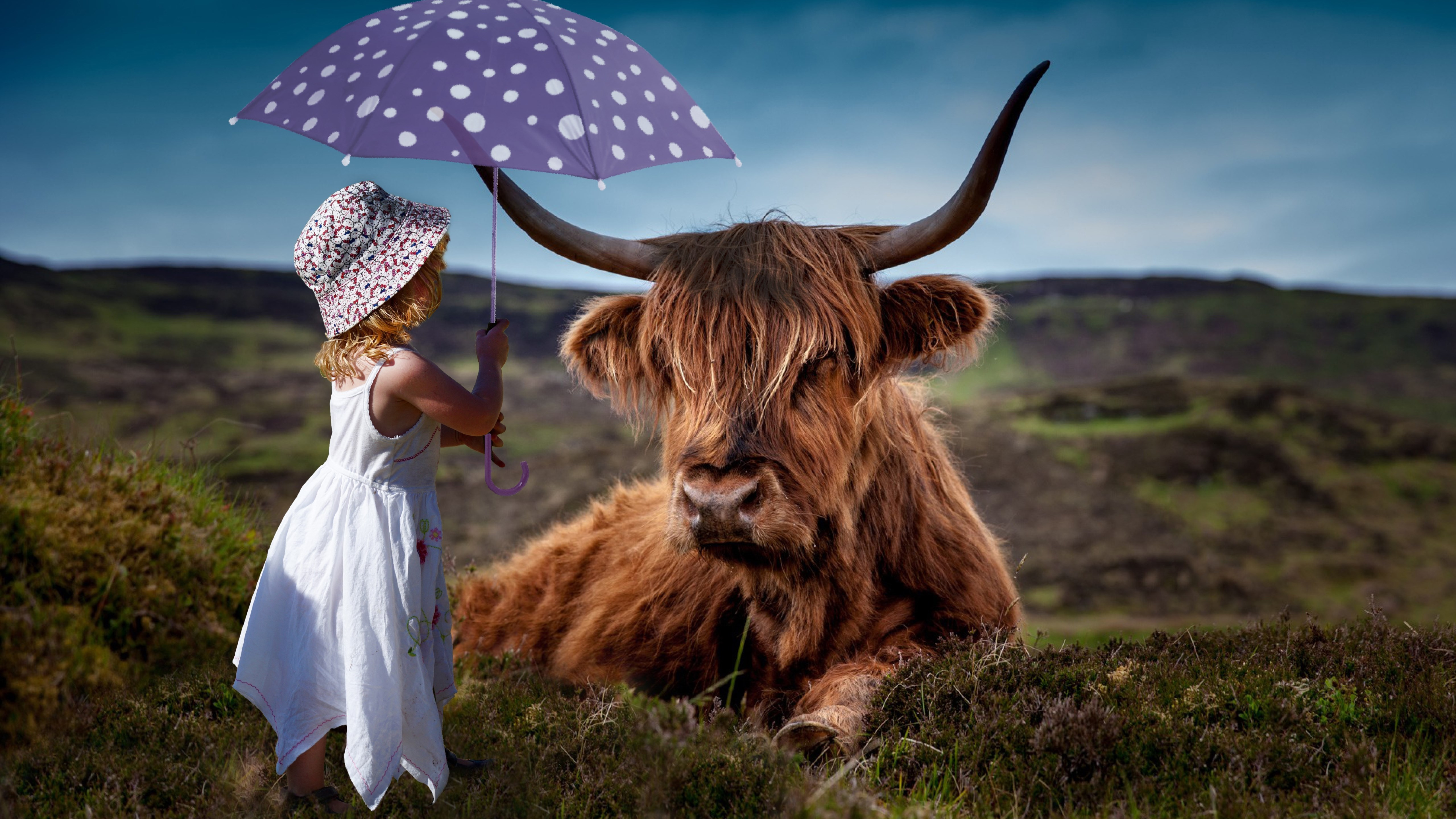 Child with the umbrella and the funny cow wallpaper 5120x2880