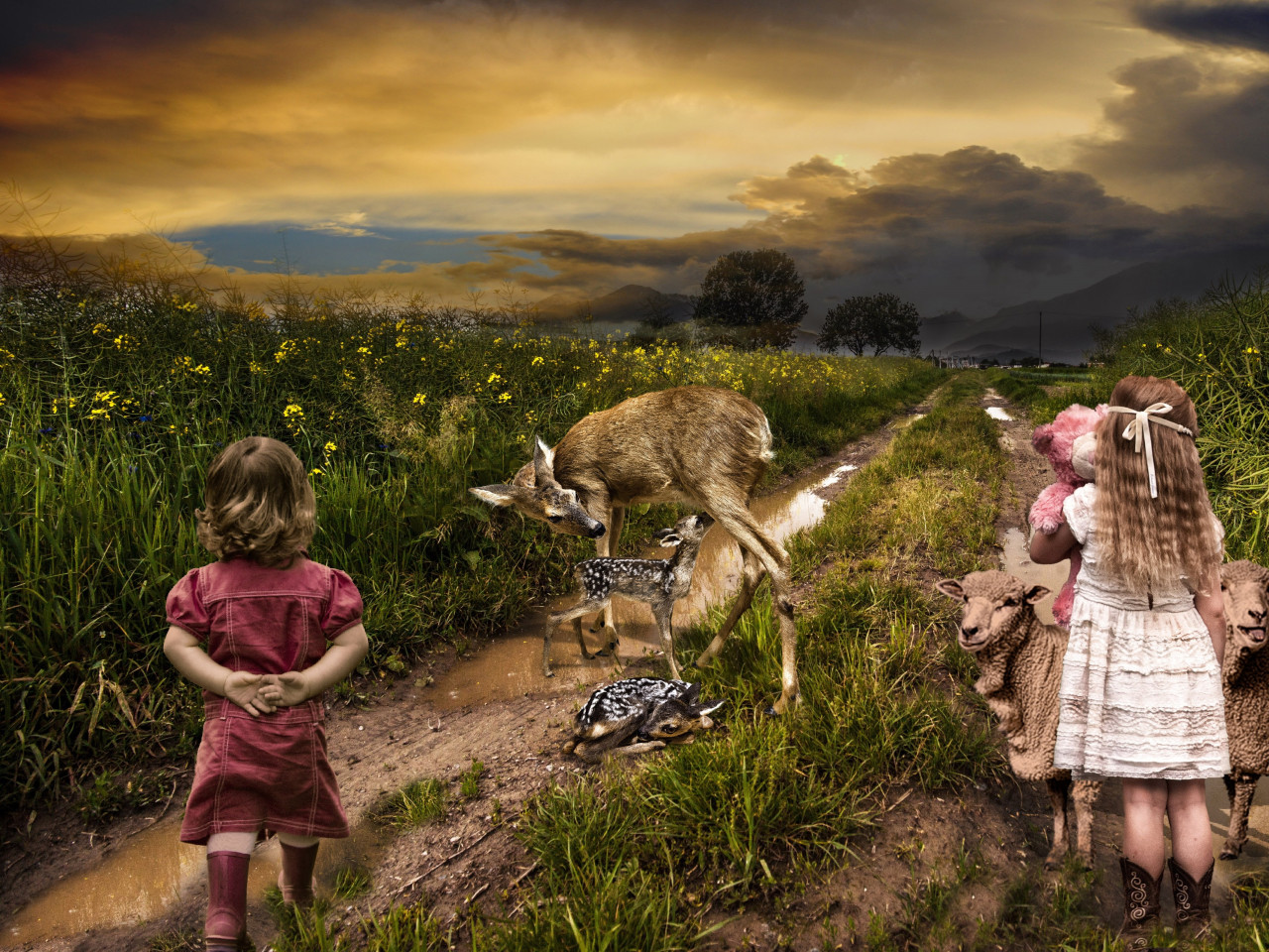 Children, sheep and deer wallpaper 1280x960