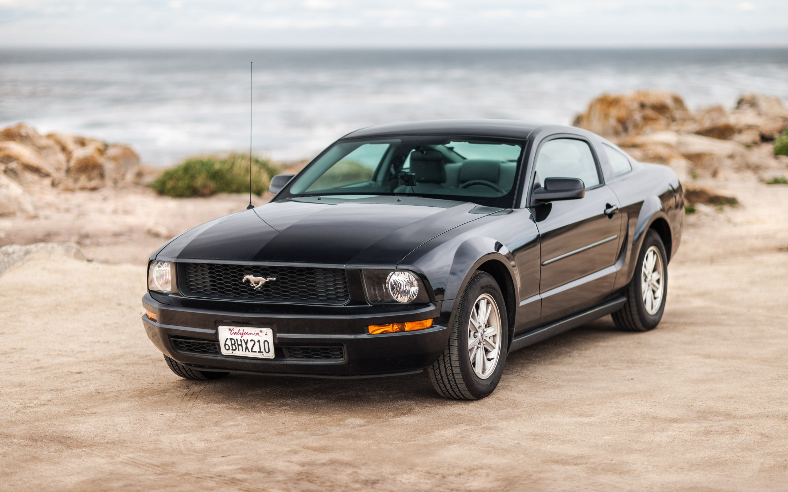 Ford Mustang wallpaper 2560x1600