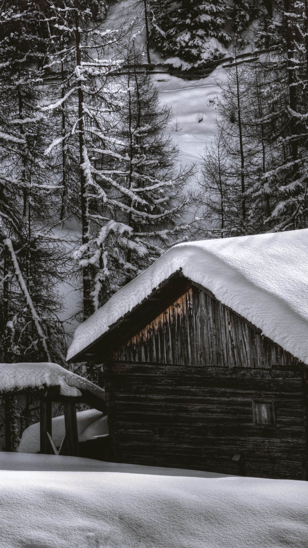 The house from the snow forest wallpaper 1080x1920