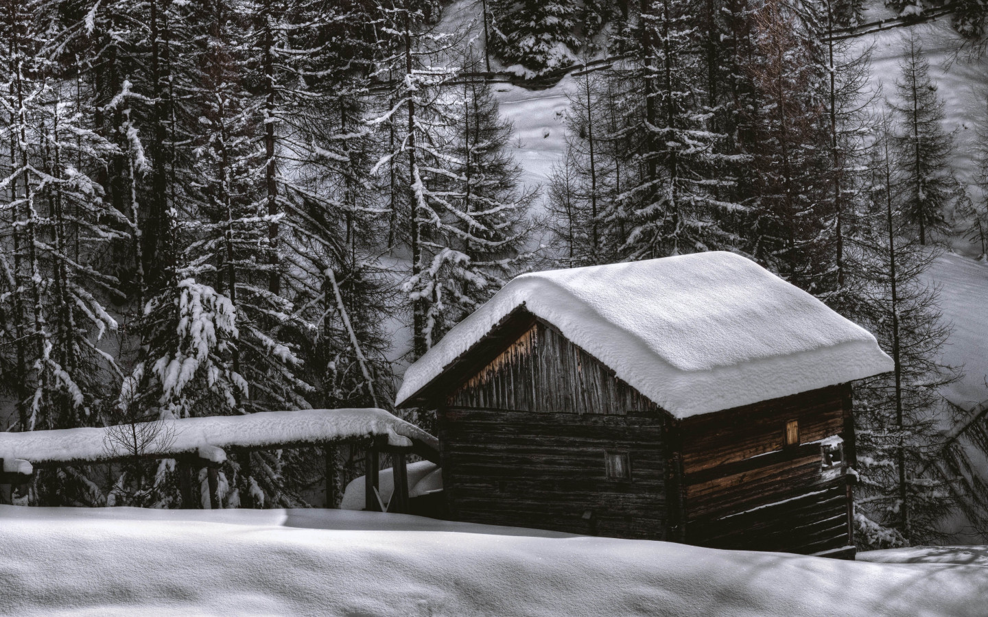 The house from the snow forest wallpaper 1440x900