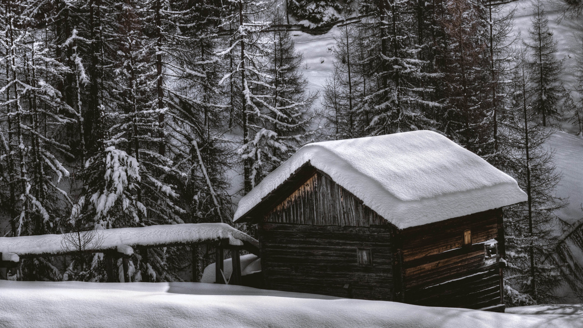 The house from the snow forest wallpaper 1920x1080