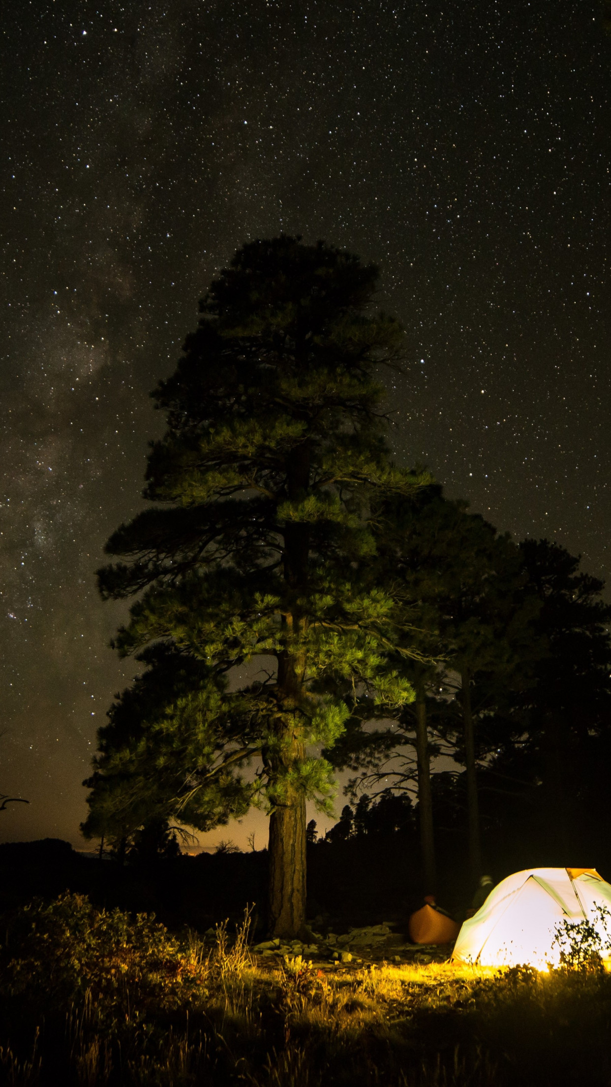 Download wallpaper: With tent under the night sky 1242x2208