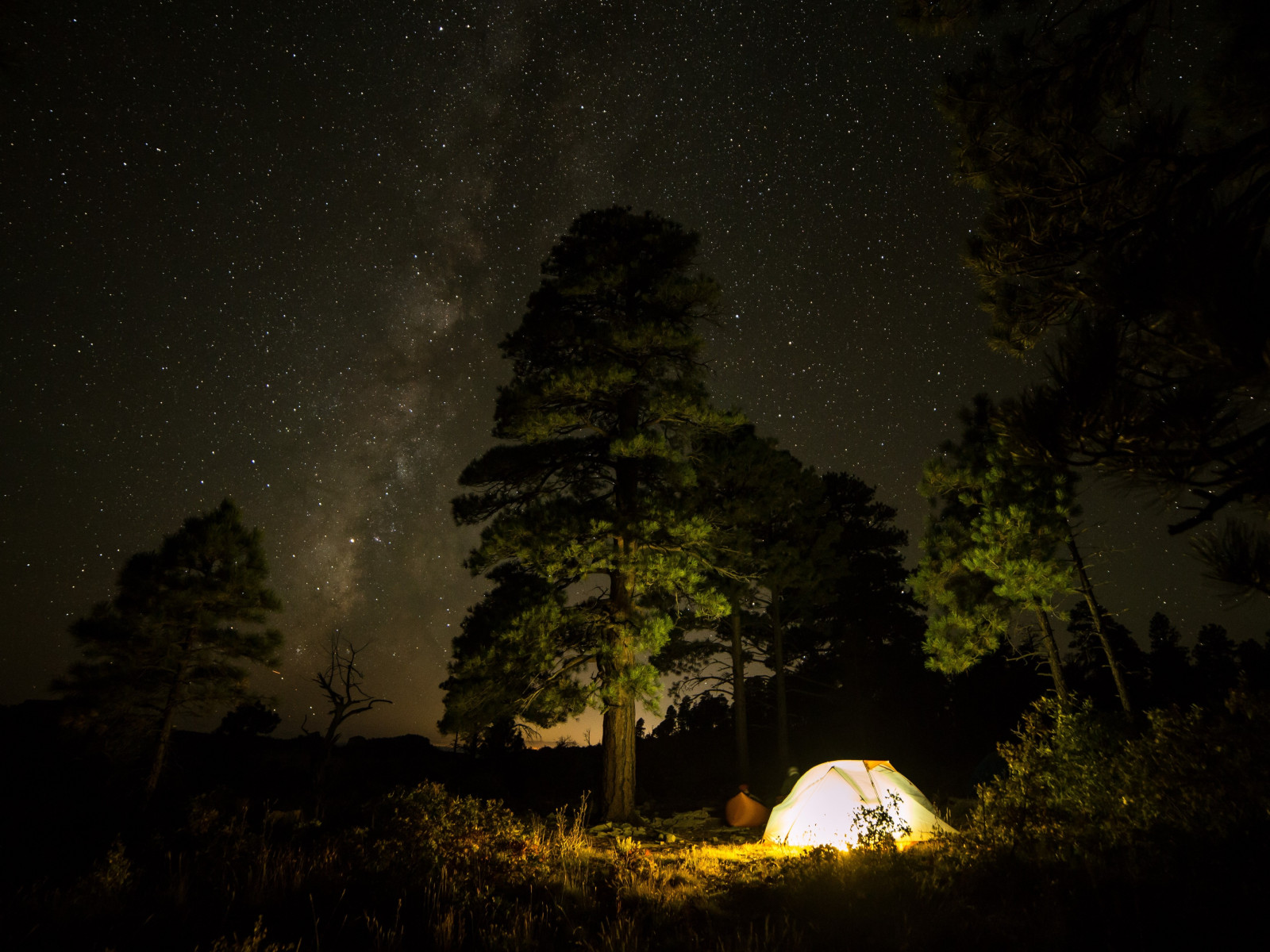 With tent under the night sky wallpaper 1600x1200