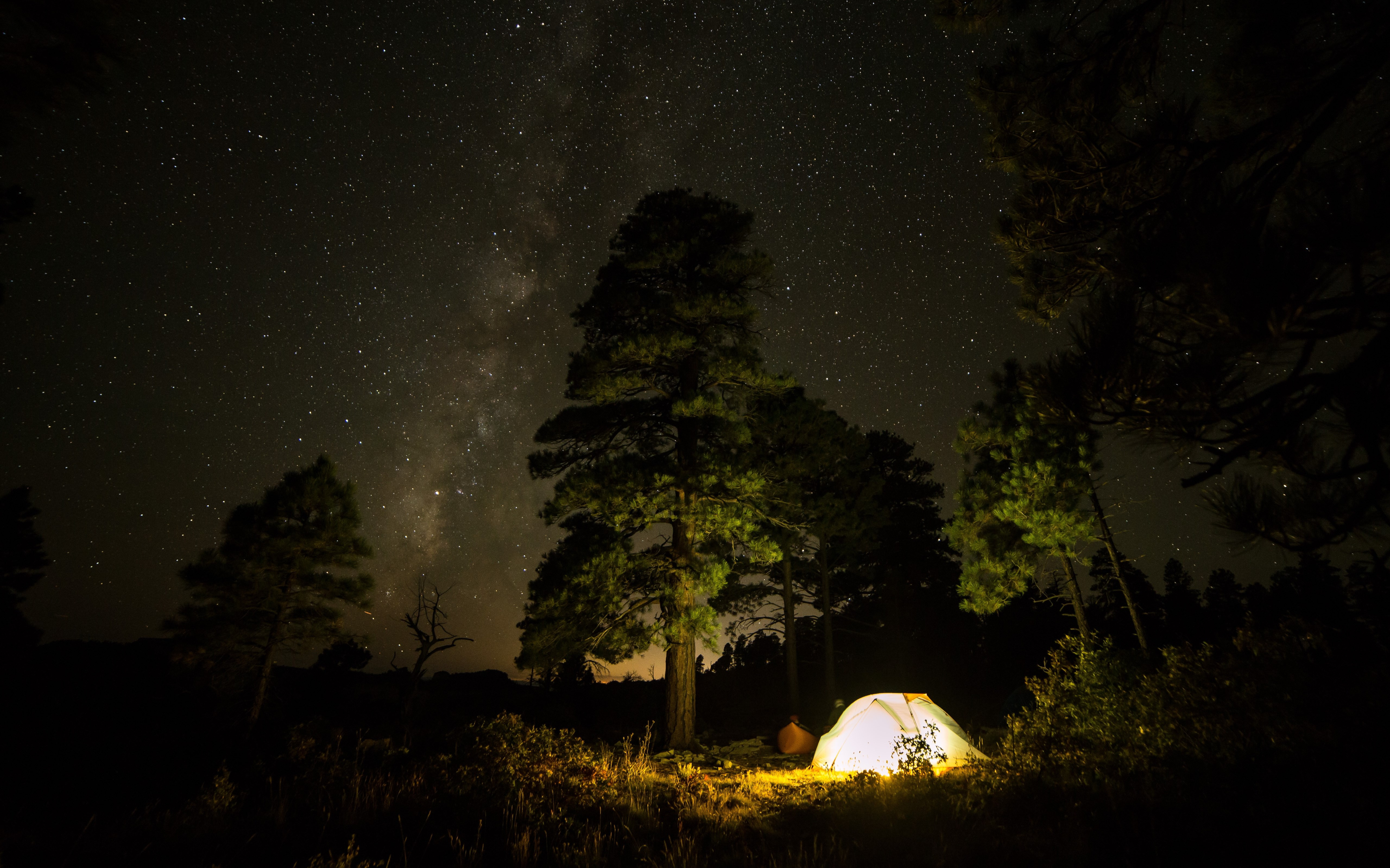 With tent under the night sky wallpaper 5120x3200