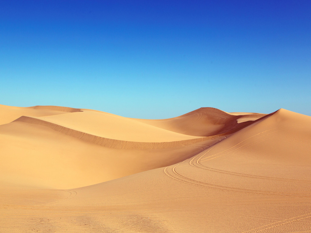 Blue sky and desert dunes wallpaper 1024x768