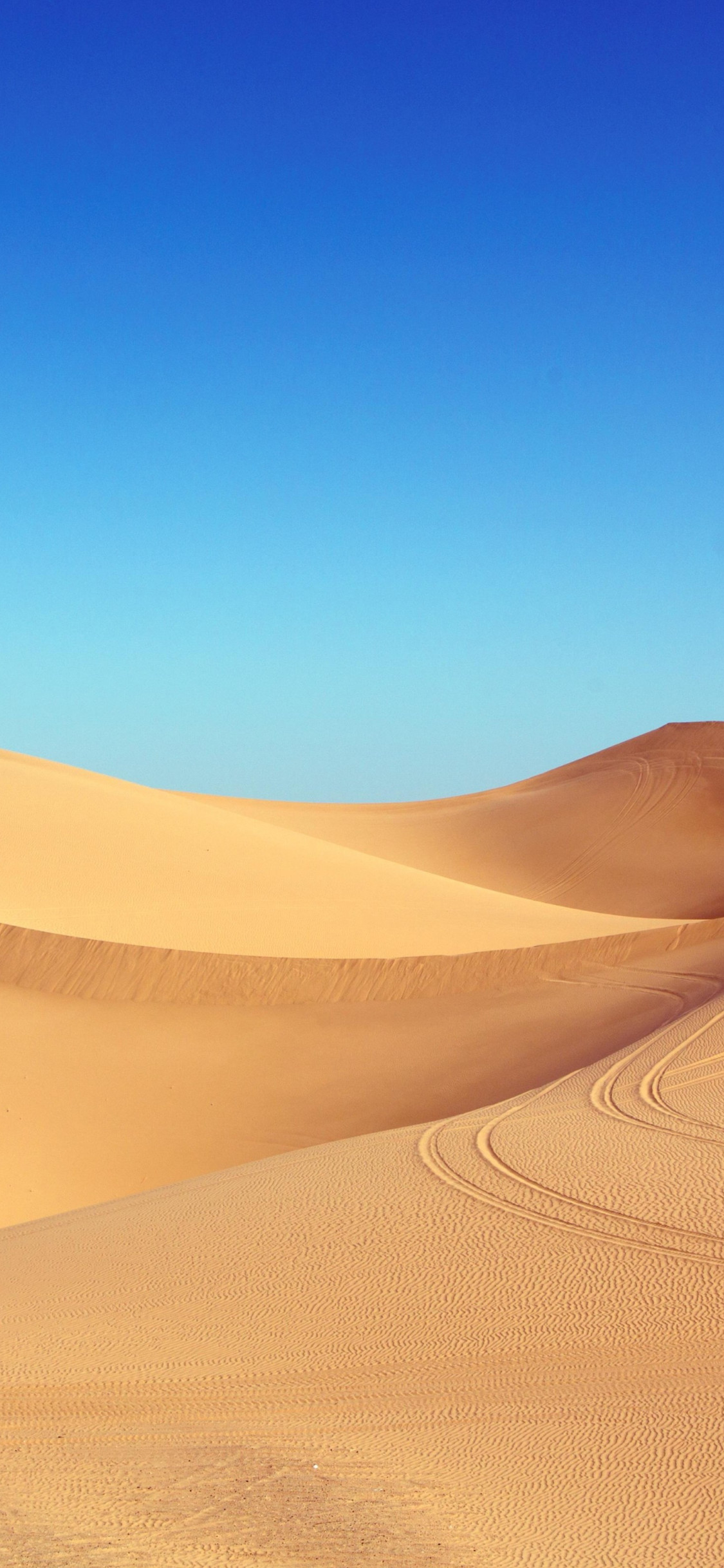 Blue sky and desert dunes wallpaper 1125x2436