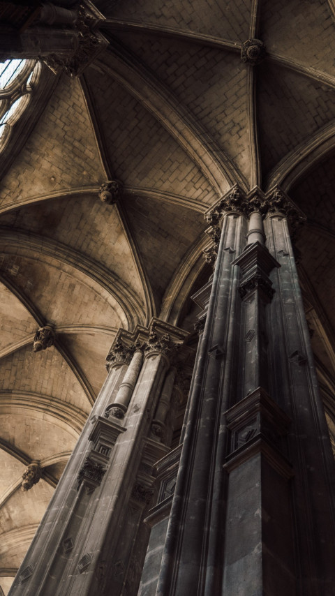 Medieval cathedral in Paris wallpaper 480x854