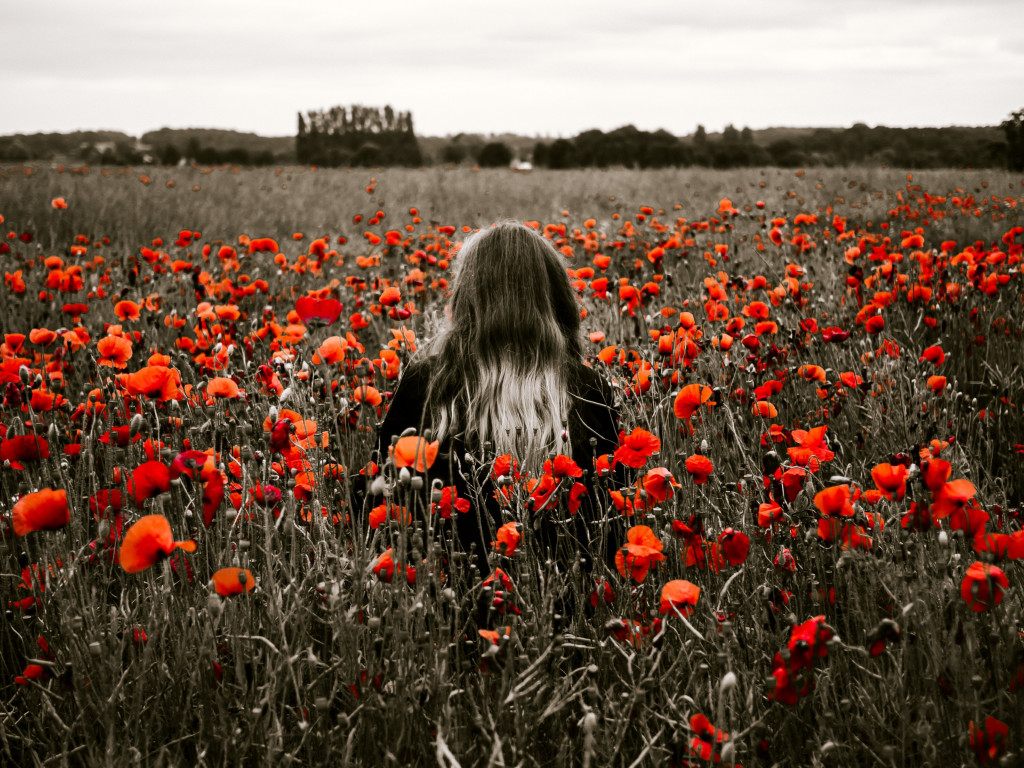 Girl in the field with red poppies wallpaper 1024x768