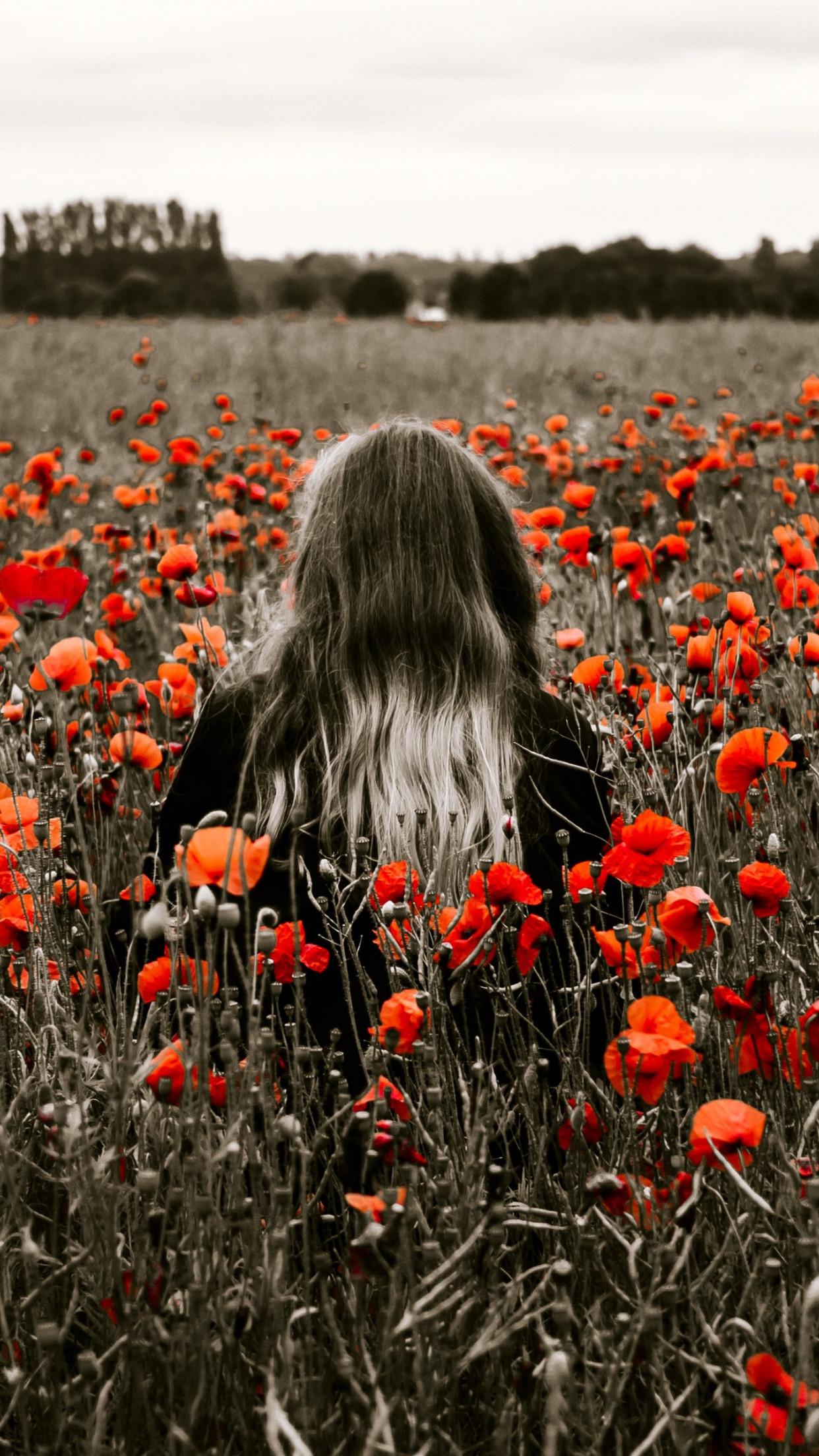 Girl in the field with red poppies wallpaper 1242x2208