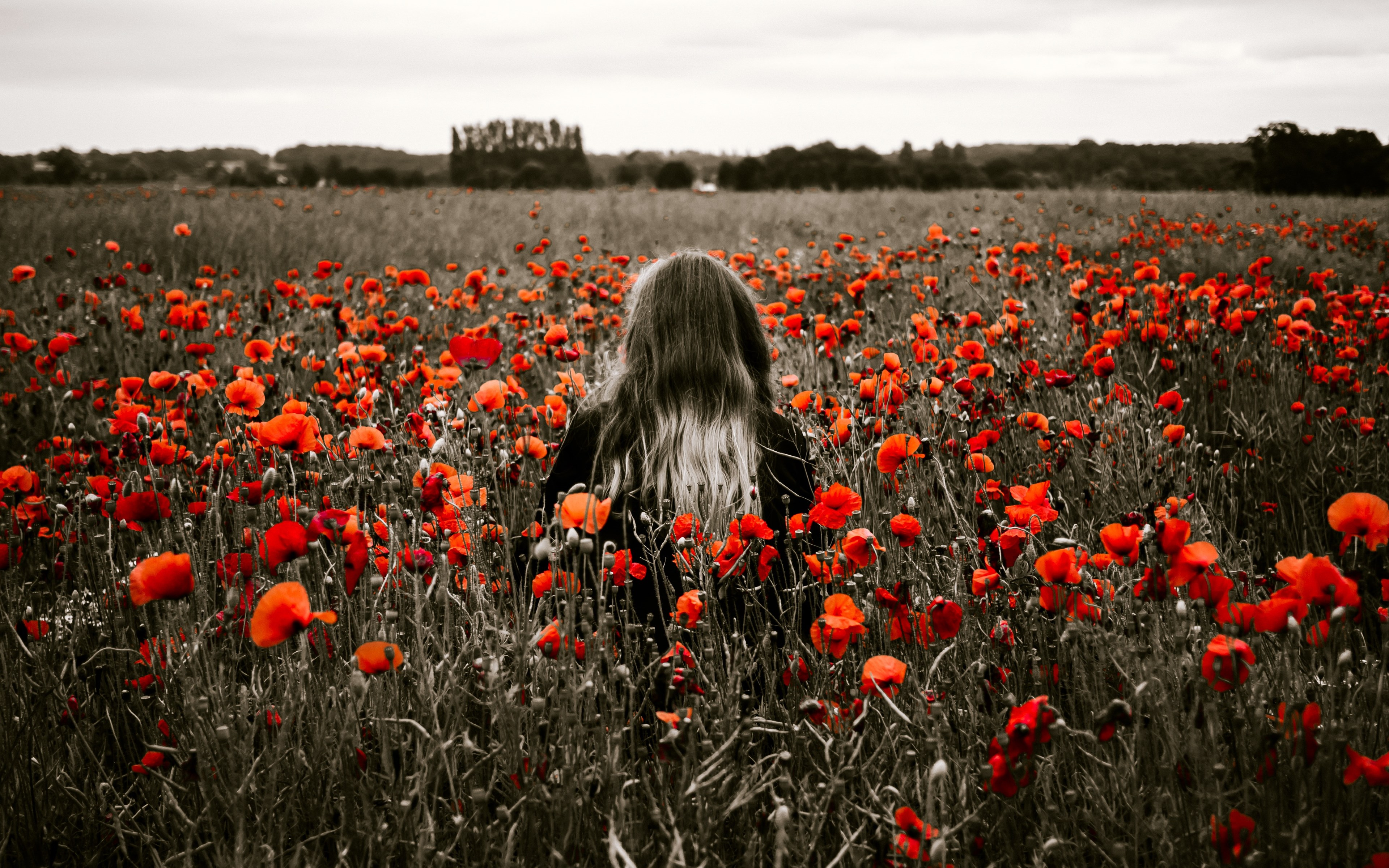 Girl in the field with red poppies wallpaper 3840x2400