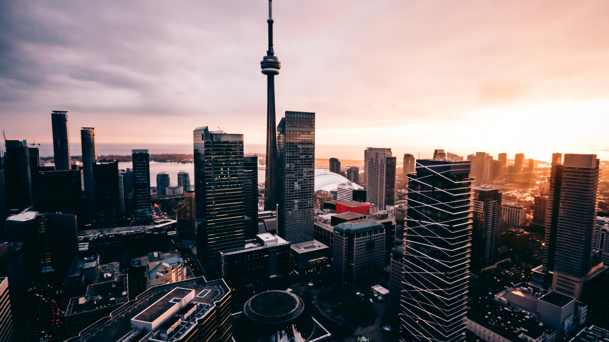 Skyscraper from Toronto wallpaper 2560x1440