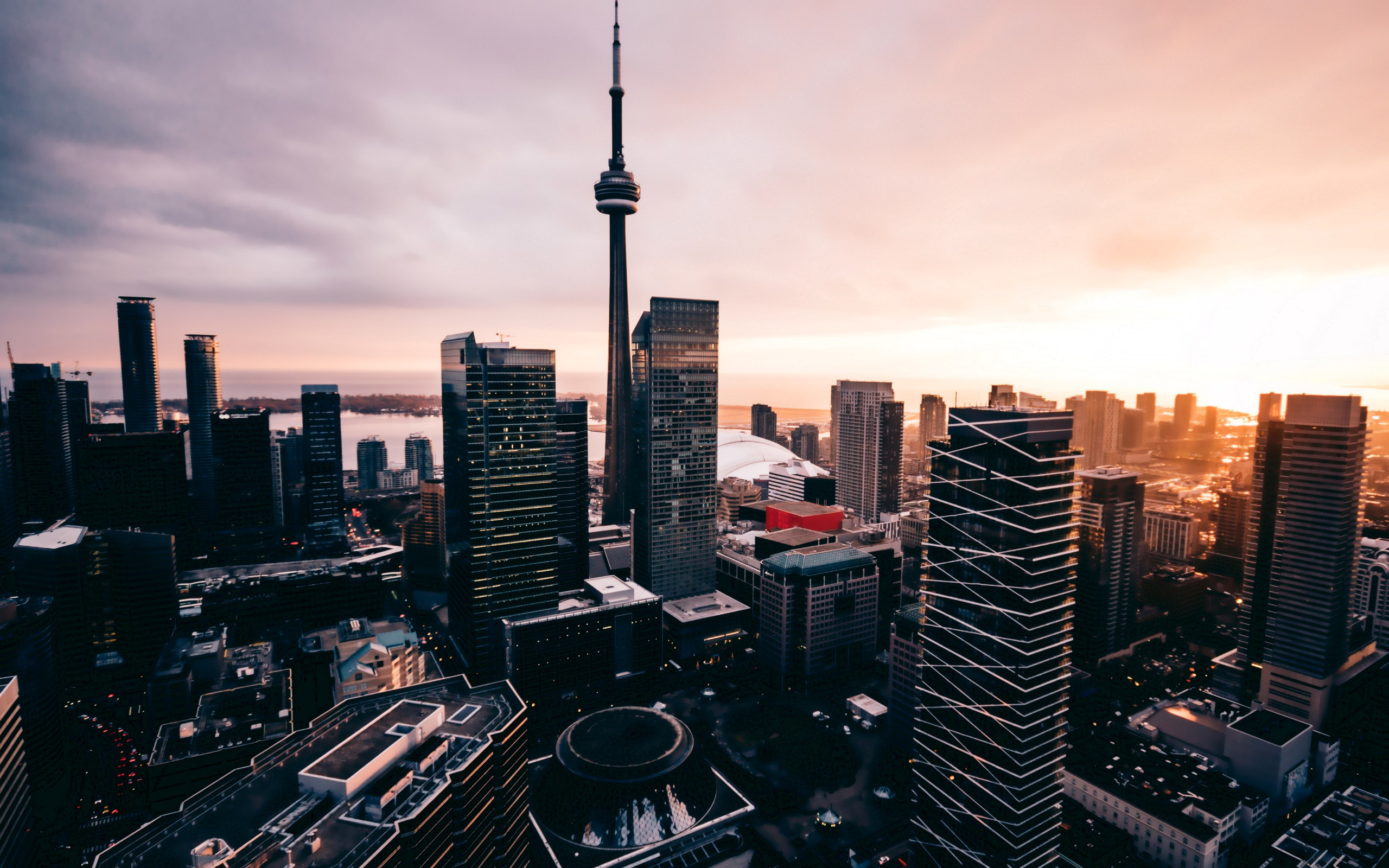 Skyscraper from Toronto wallpaper 2560x1600