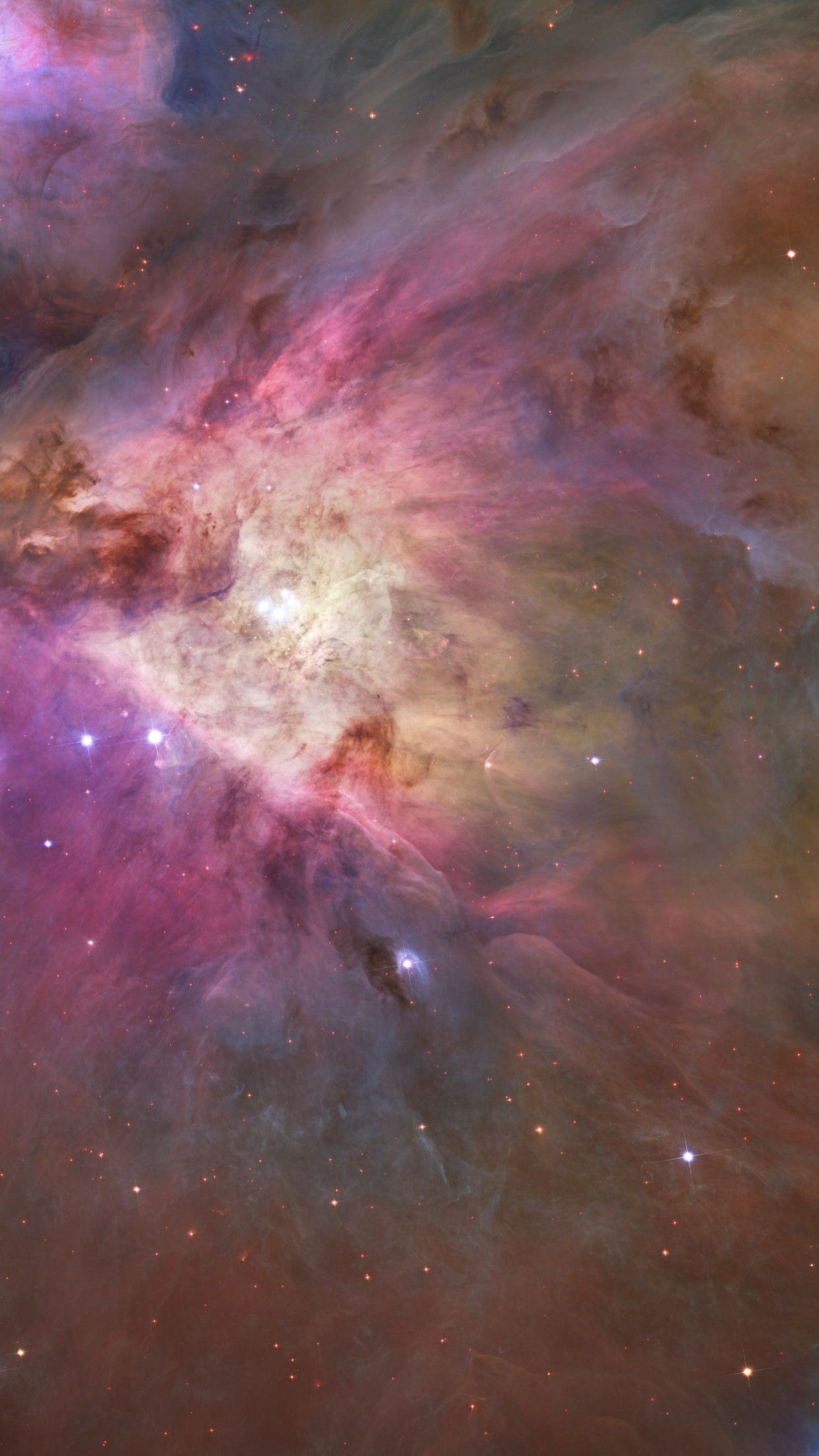 Orion Nebula wallpaper 1242x2208