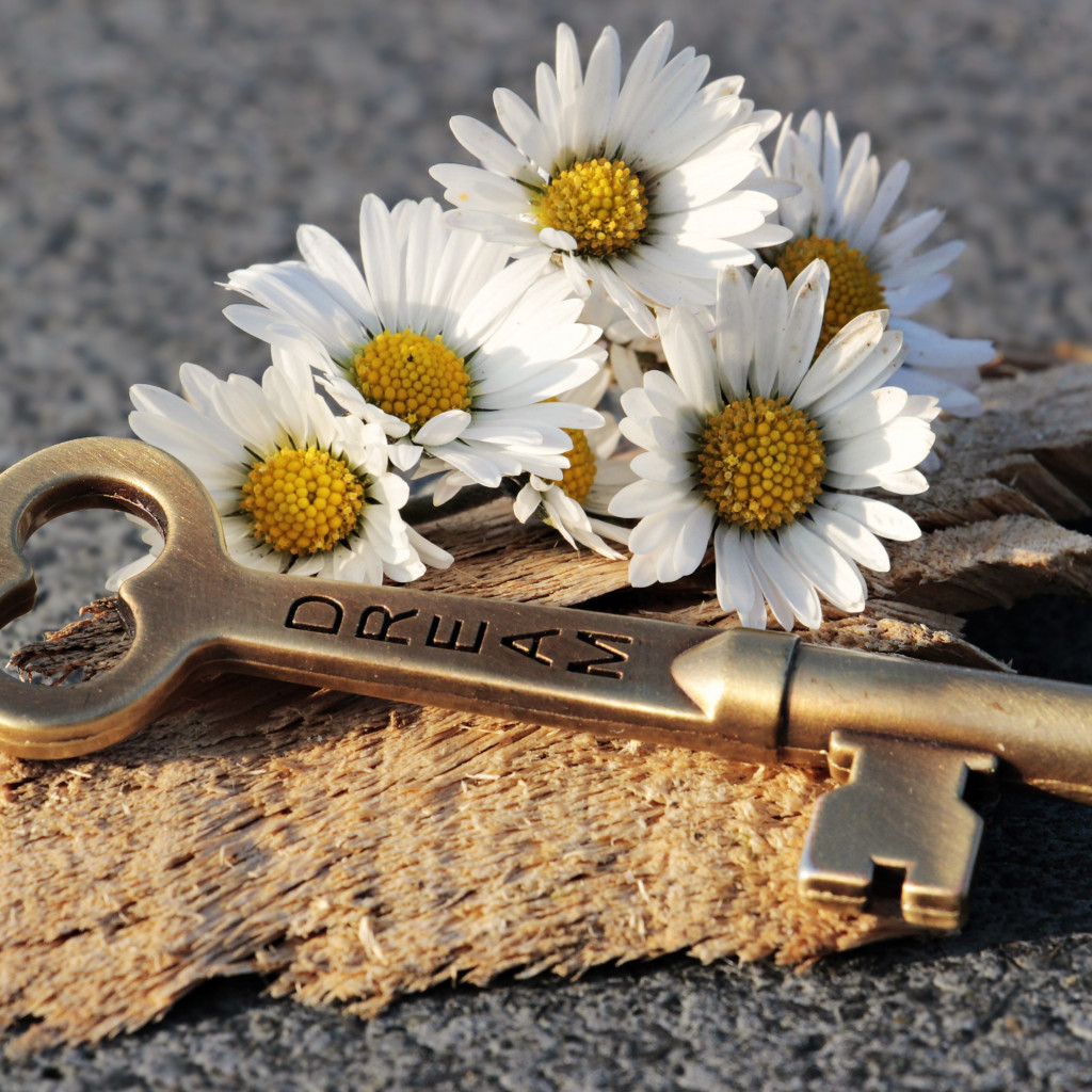 The dreams key and daisy flowers wallpaper 1024x1024