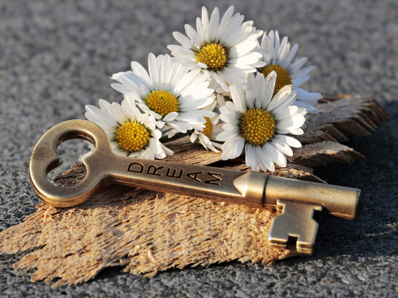 The dreams key and daisy flowers wallpaper 1280x960