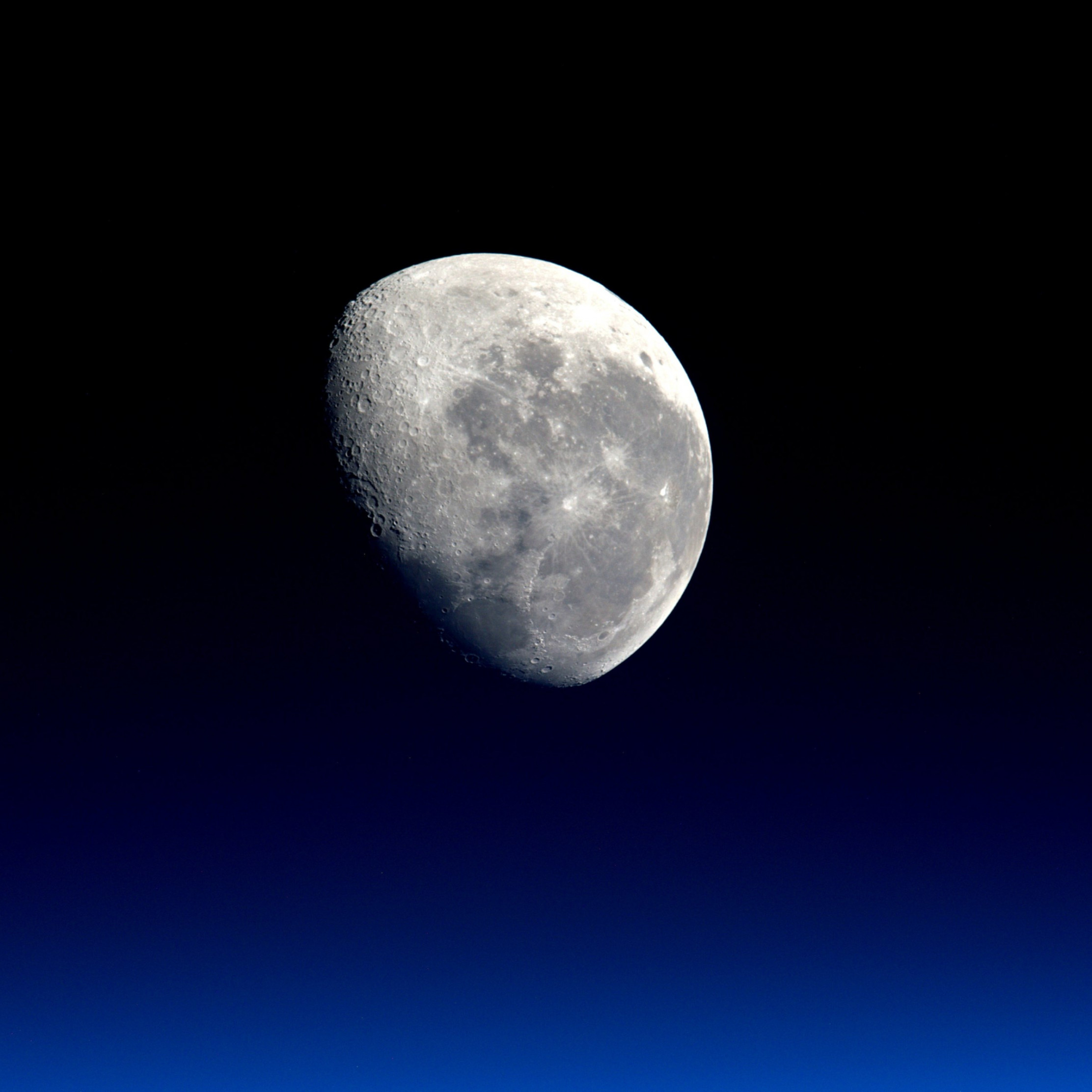 Our natural satellite: The Moon wallpaper 2224x2224