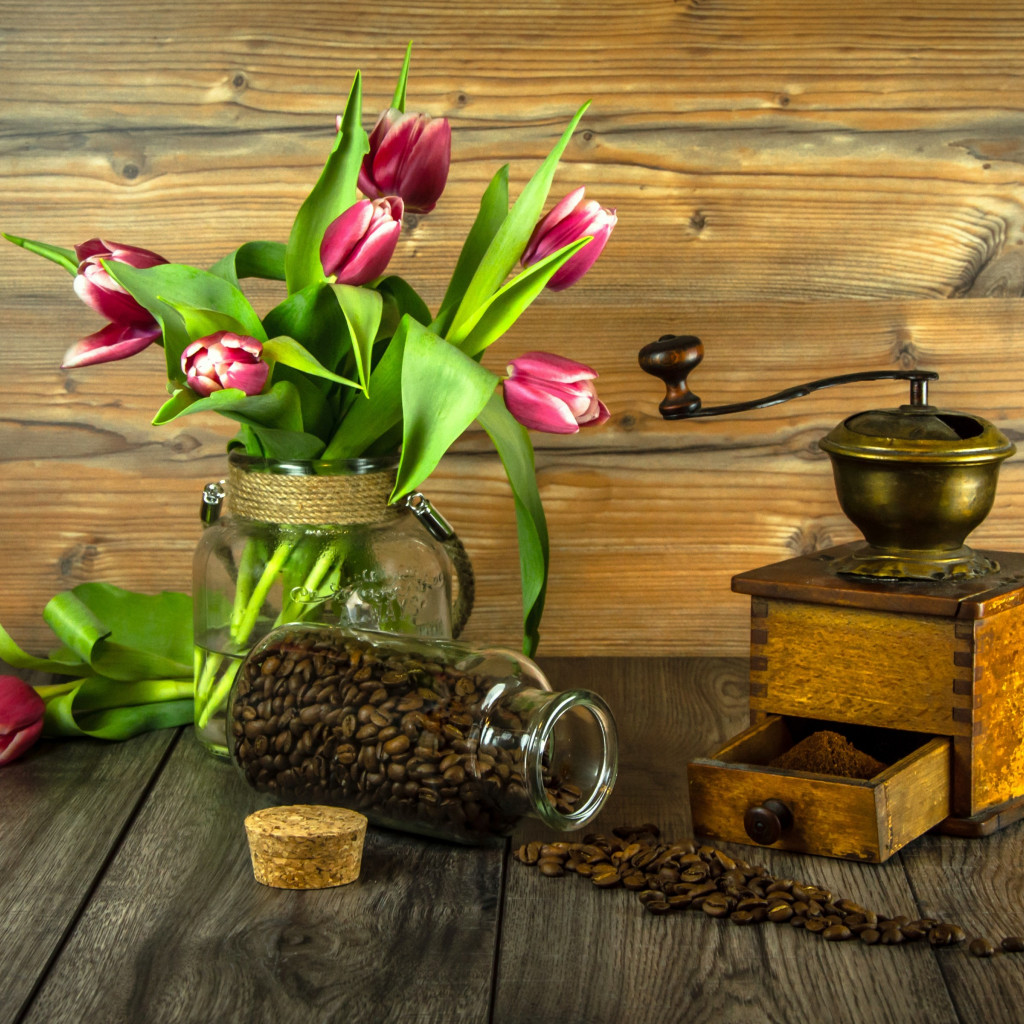 Red tulips and coffee grains wallpaper 1024x1024
