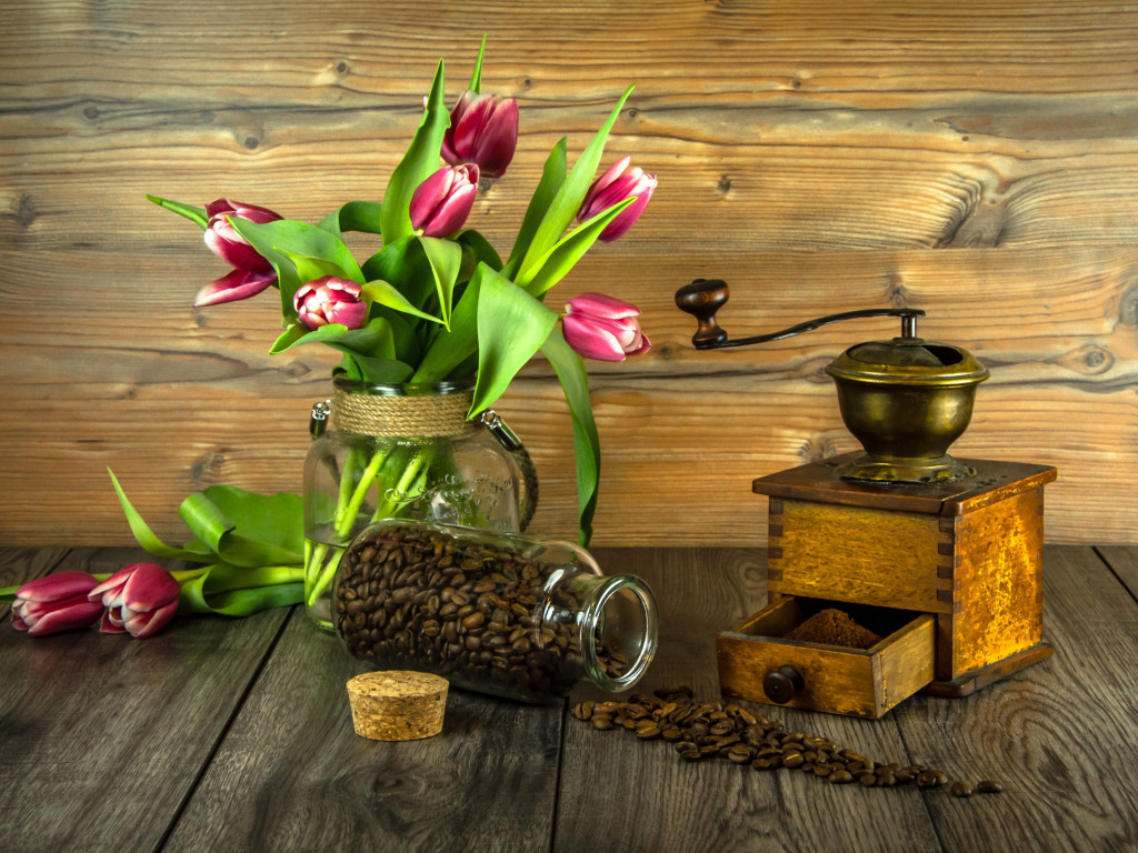 Red tulips and coffee grains wallpaper 1024x768