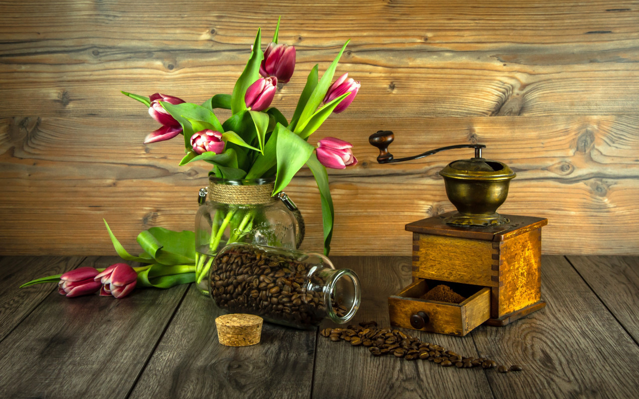 Red tulips and coffee grains wallpaper 1280x800