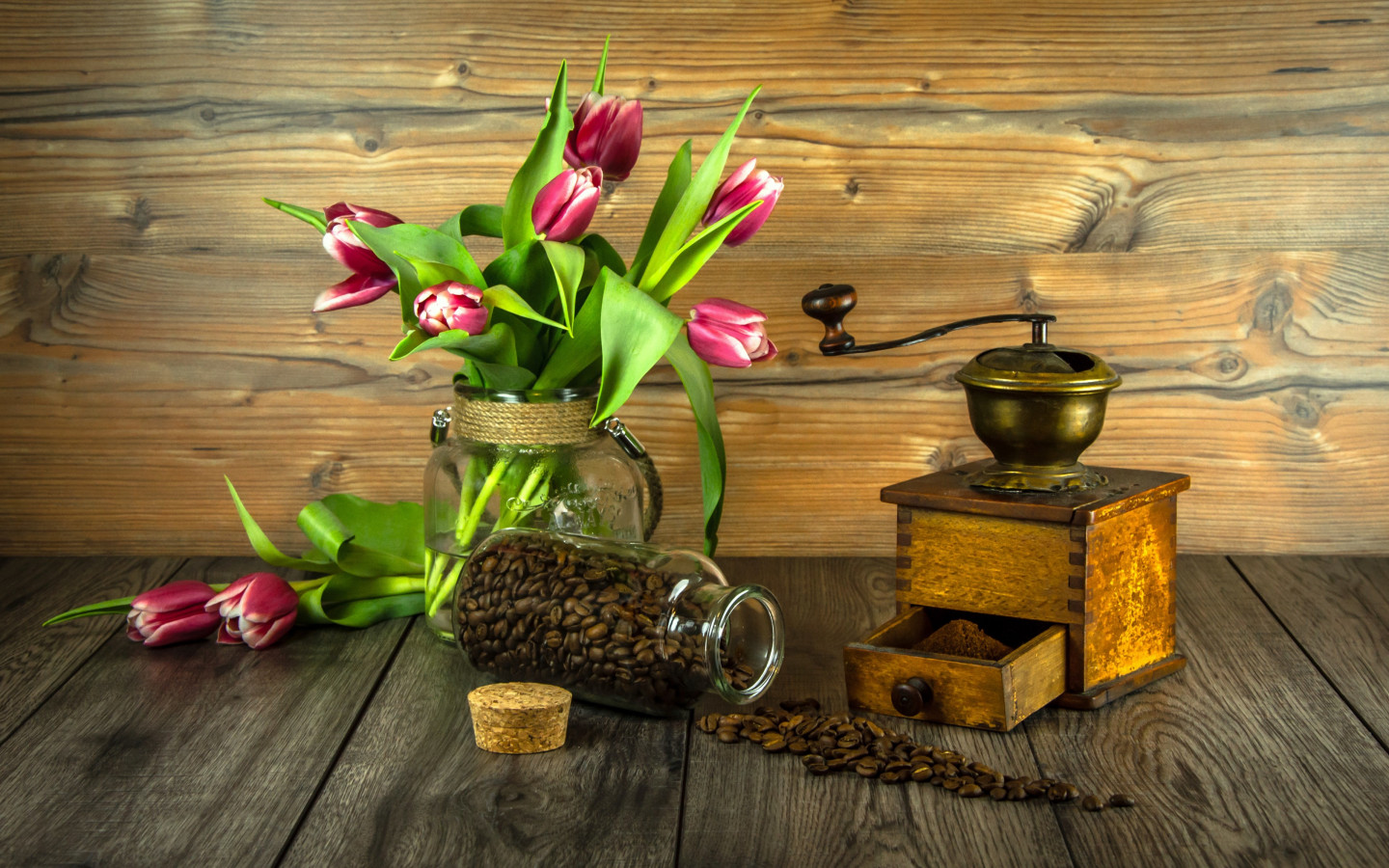 Red tulips and coffee grains wallpaper 1440x900