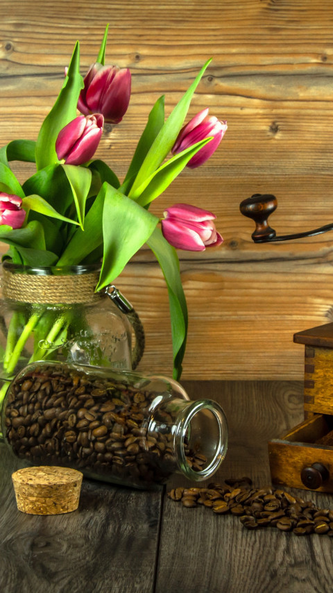 Red tulips and coffee grains wallpaper 480x854