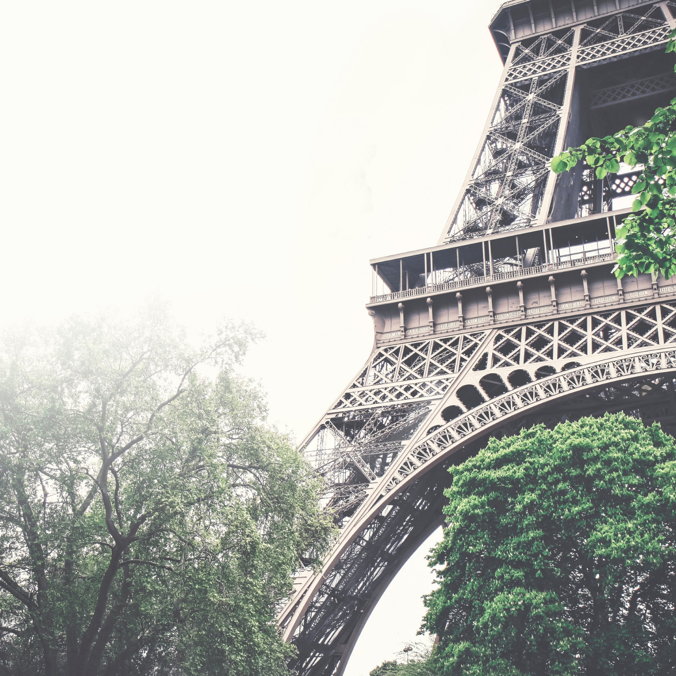 Tour Eiffel in a foggy day wallpaper 2224x2224