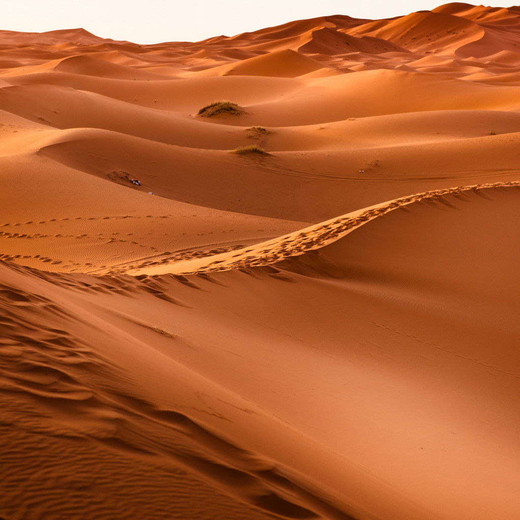 Sahara Desert wallpaper 1024x1024