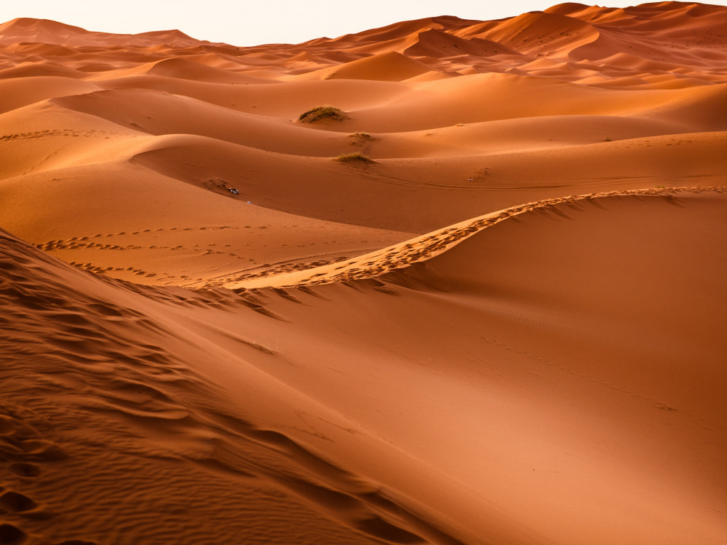 Sahara Desert wallpaper 1024x768