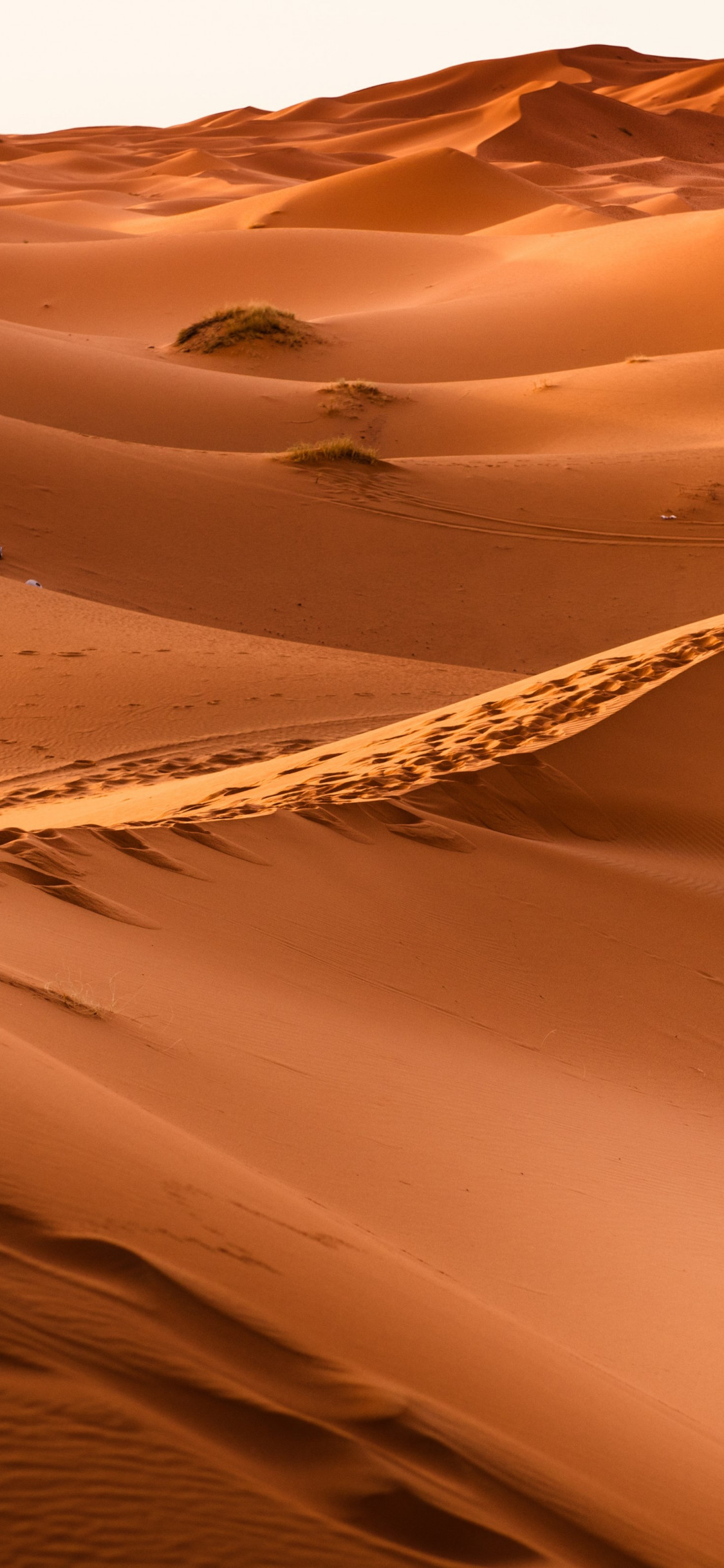 Sahara Desert wallpaper 1125x2436
