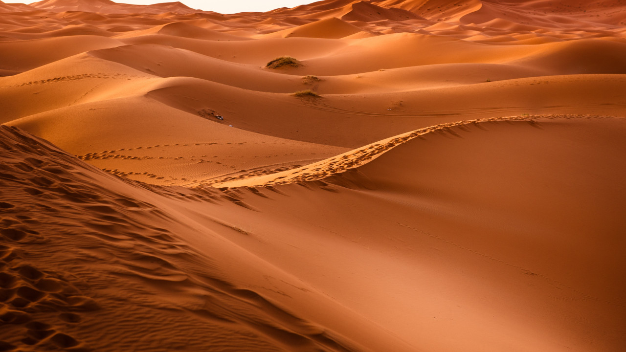 Sahara Desert wallpaper 1280x720