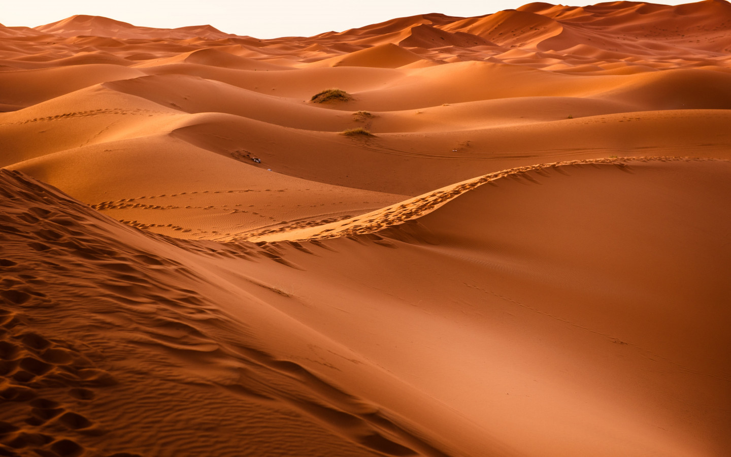 Sahara Desert wallpaper 1440x900