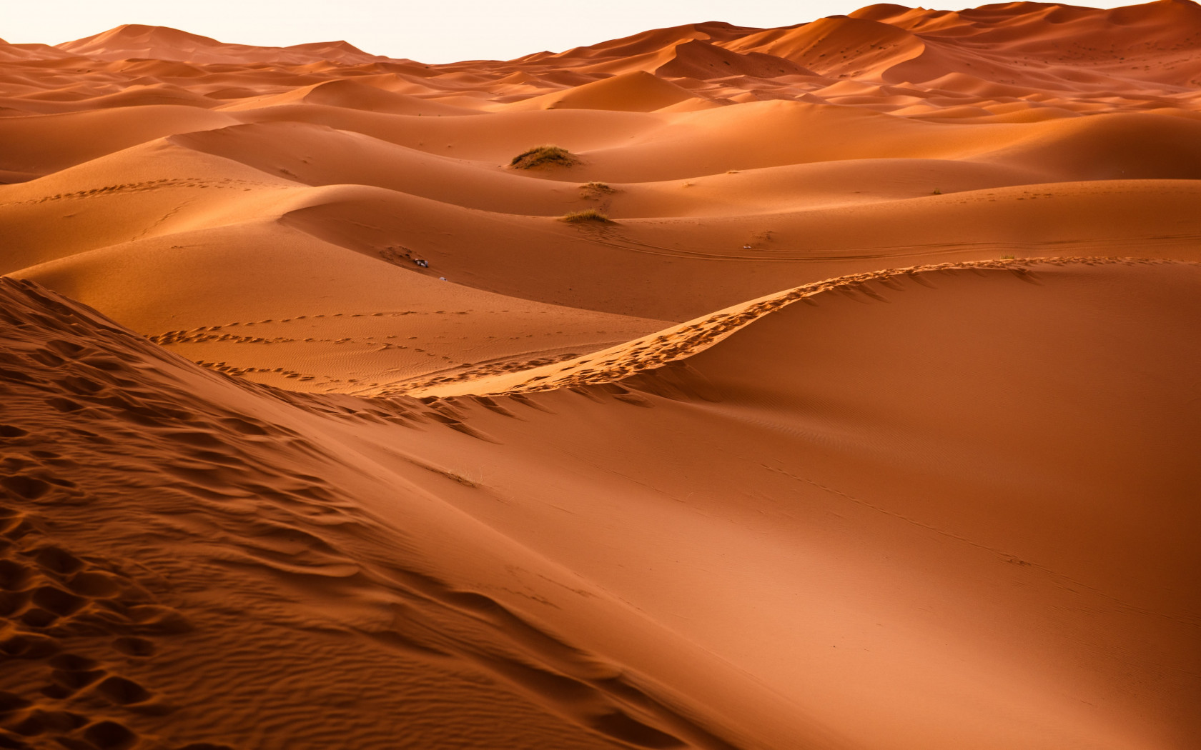 Sahara Desert wallpaper 1680x1050