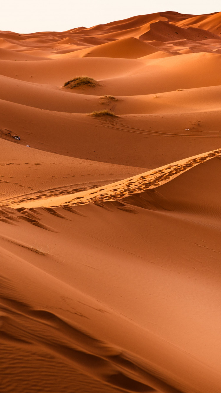 Sahara Desert wallpaper 750x1334