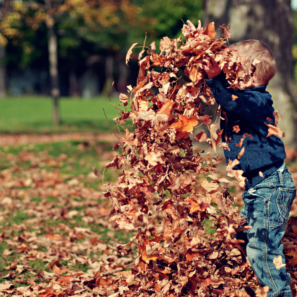 The child is playing with leaves wallpaper 1024x1024