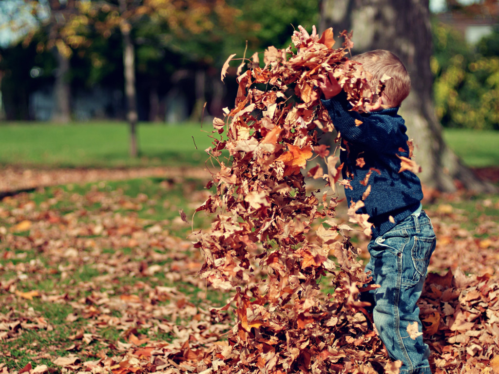 The child is playing with leaves wallpaper 1024x768