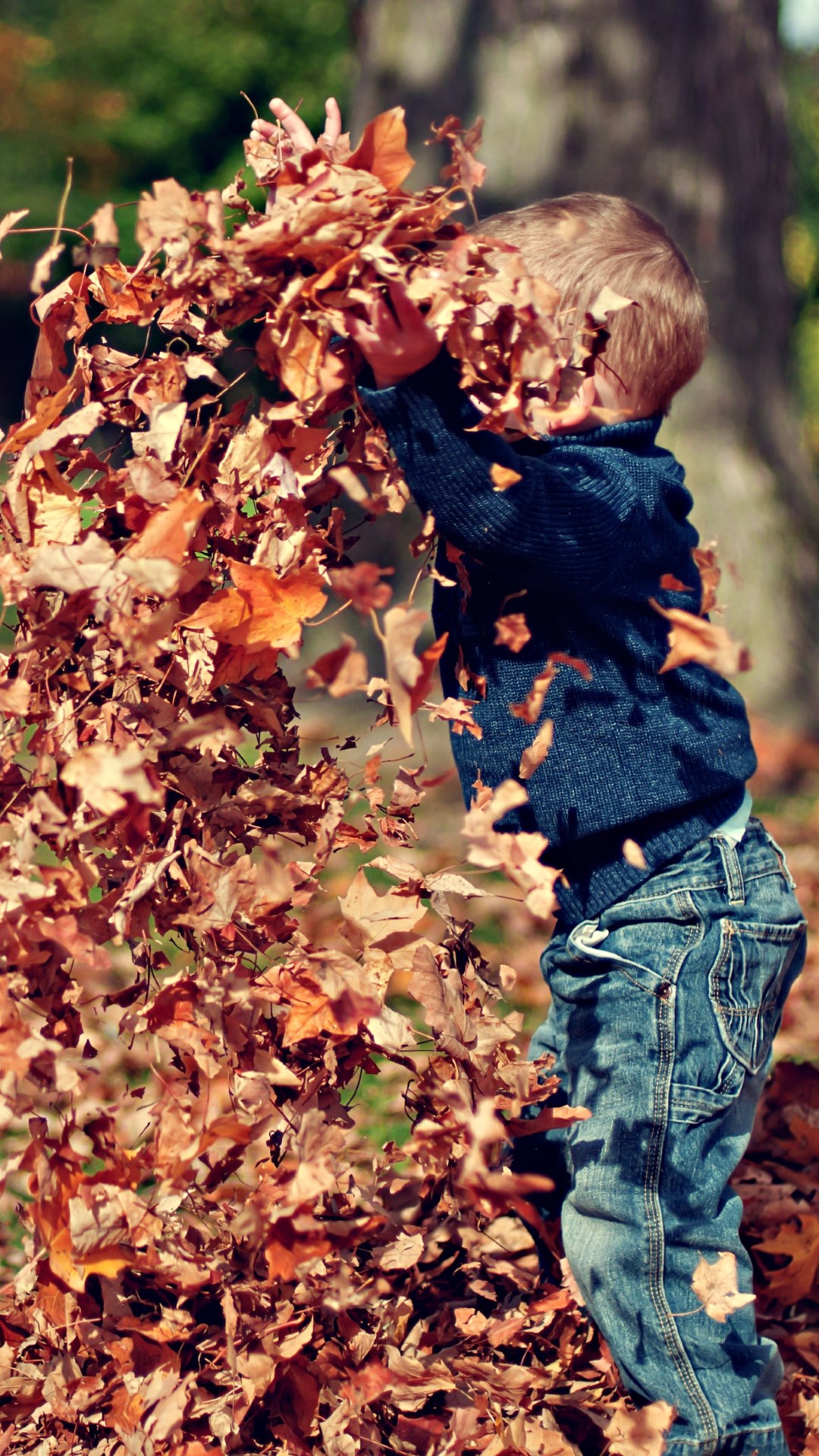 The child is playing with leaves wallpaper 1080x1920