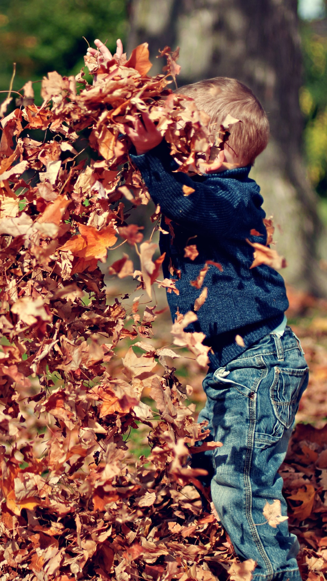 The child is playing with leaves wallpaper 1242x2208