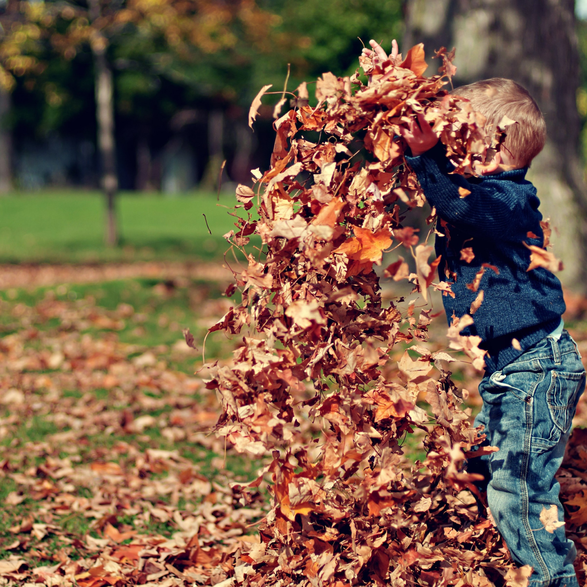 The child is playing with leaves wallpaper 2048x2048