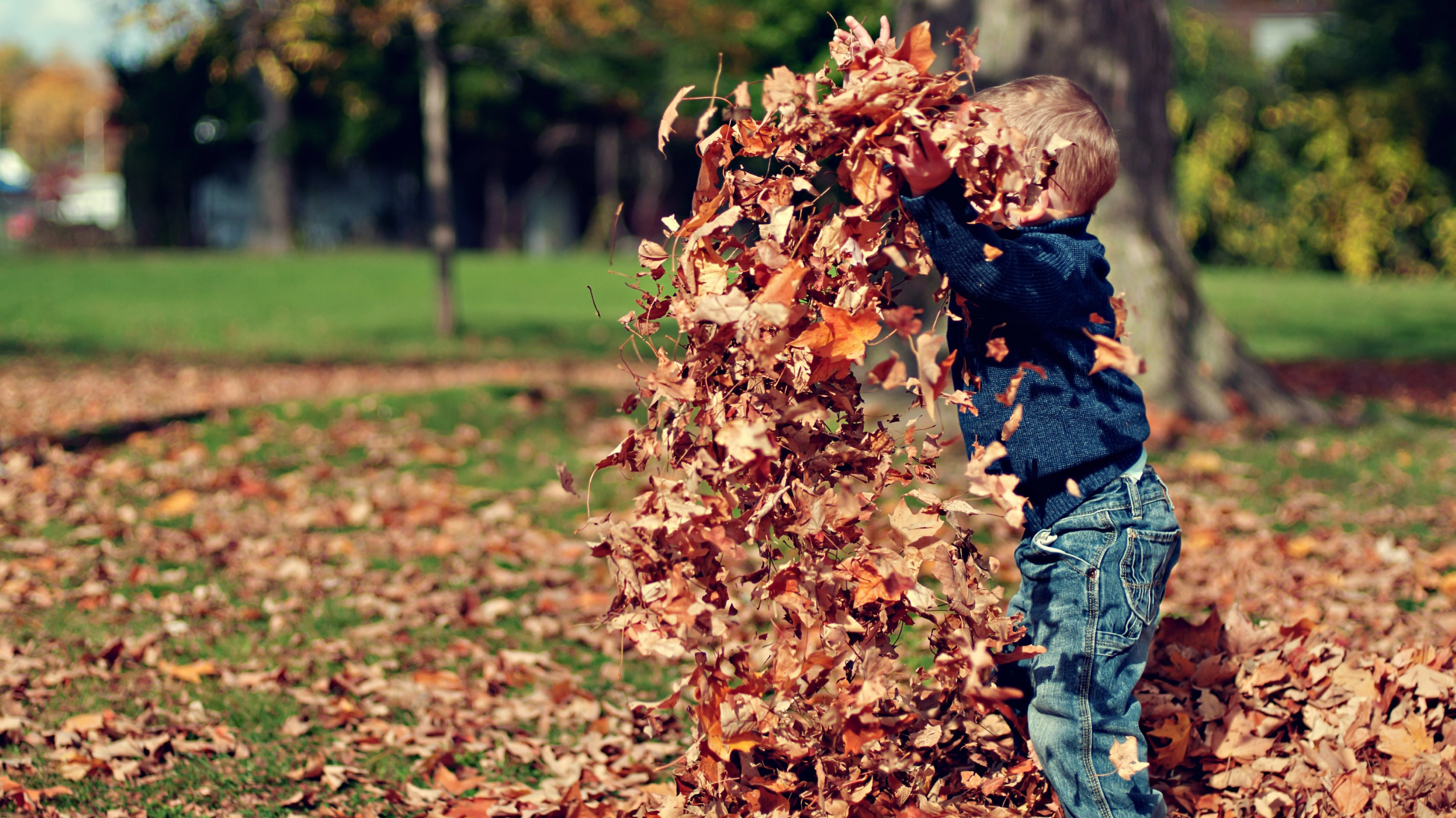 The child is playing with leaves wallpaper 2880x1620