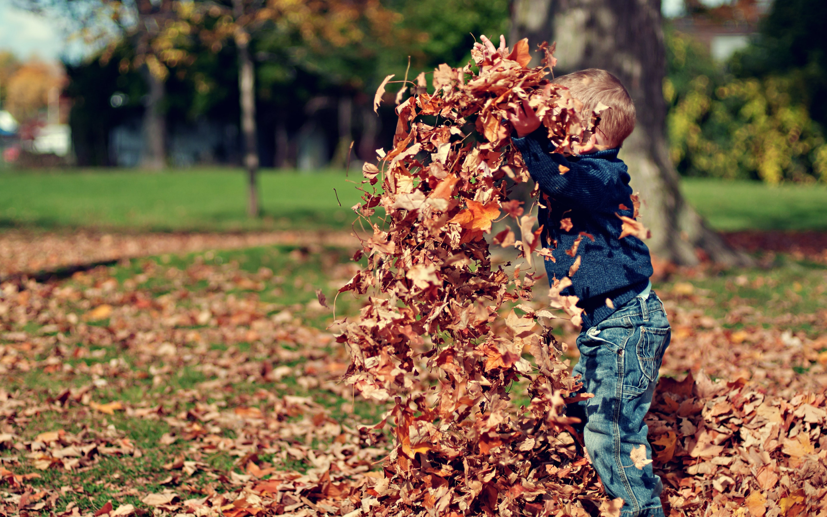 The child is playing with leaves wallpaper 2880x1800