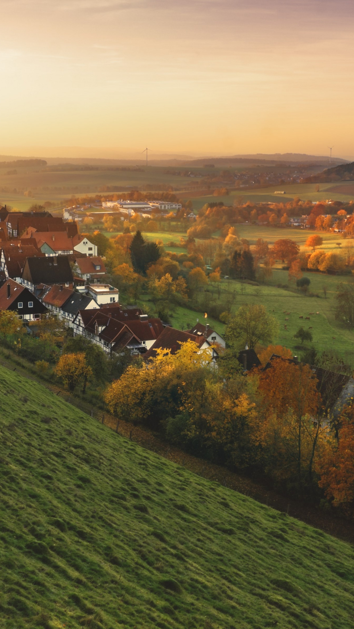 Autumn, sunset, landscape, village wallpaper 1242x2208