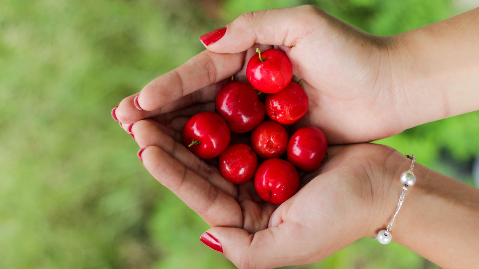 Hands filled with cherries wallpaper 1600x900