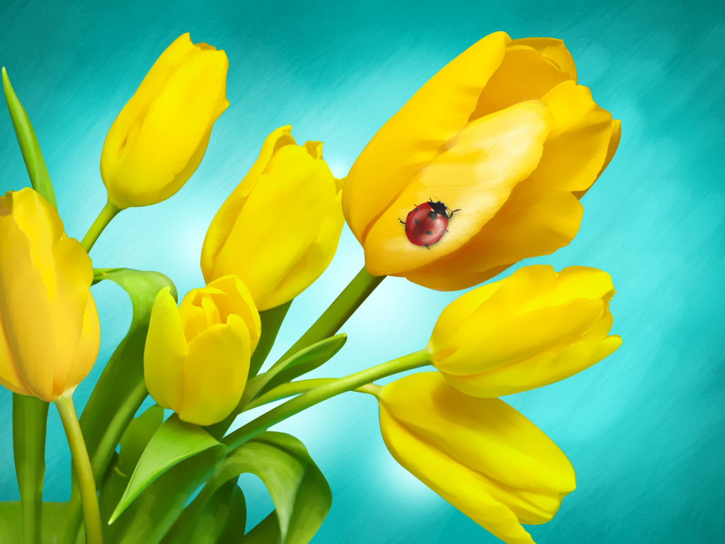 Ladybird on yellow tulips wallpaper 1024x768