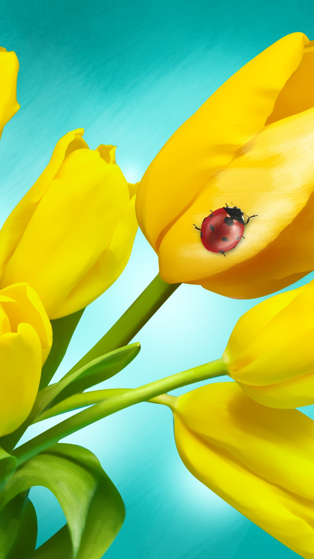 Ladybird on yellow tulips wallpaper 1080x1920