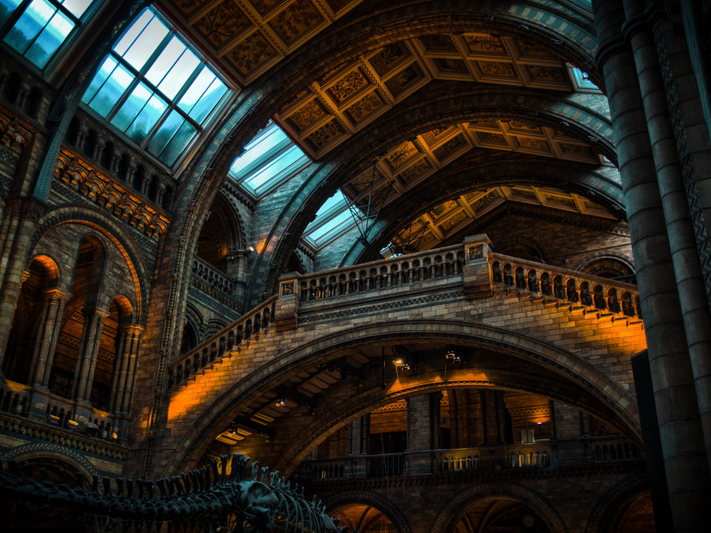 Inside of Natural History Museum from London wallpaper 1024x768