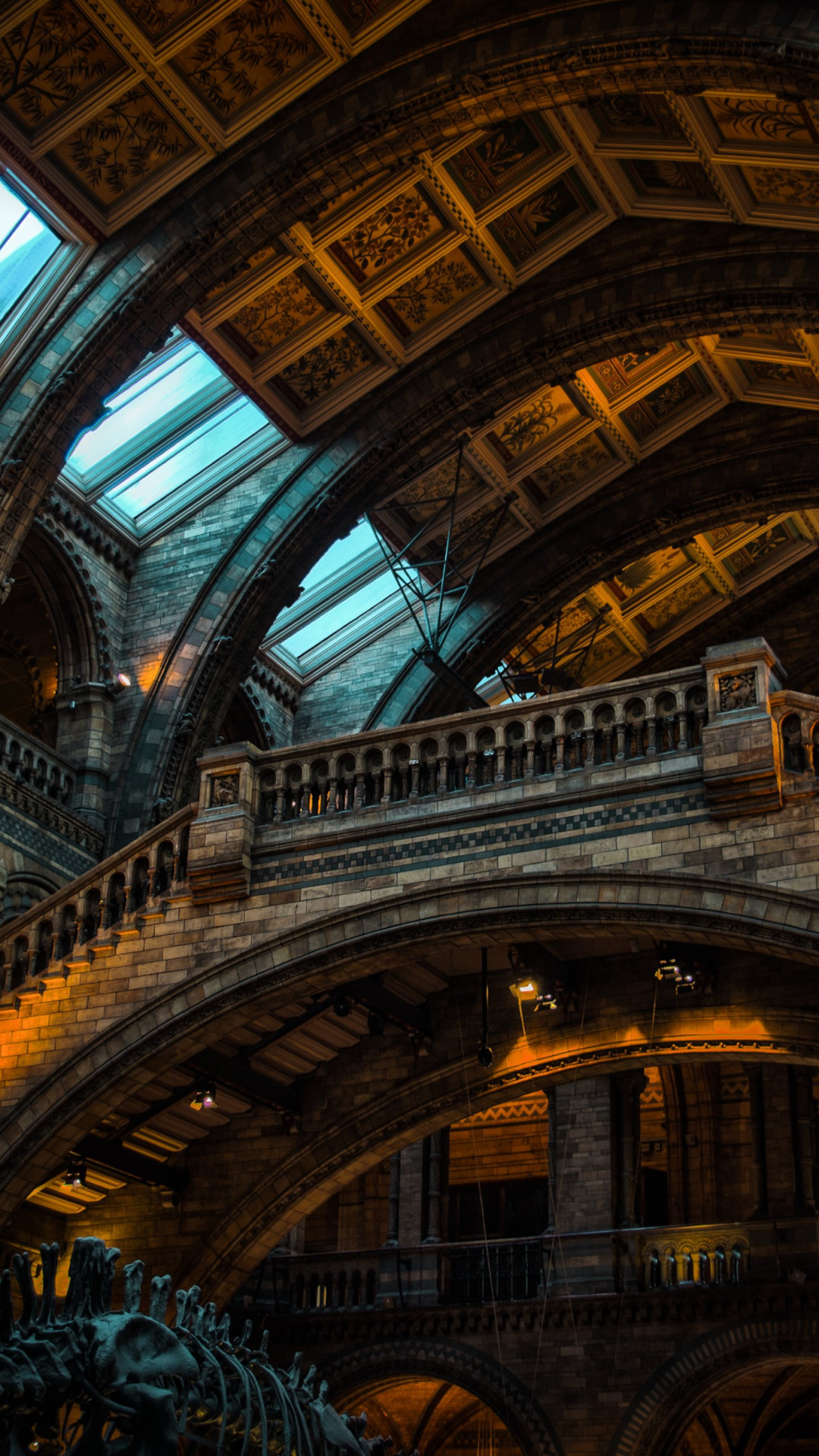 Inside of Natural History Museum from London wallpaper 1080x1920